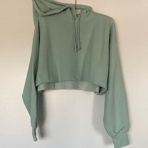 NWT Aritzia TNA Cozy Fleece BF Crop Hoodie